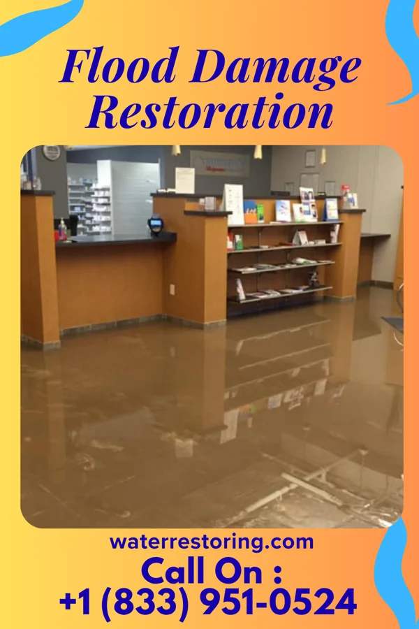 Flood Damage Restoration in Stone Ridge, VA