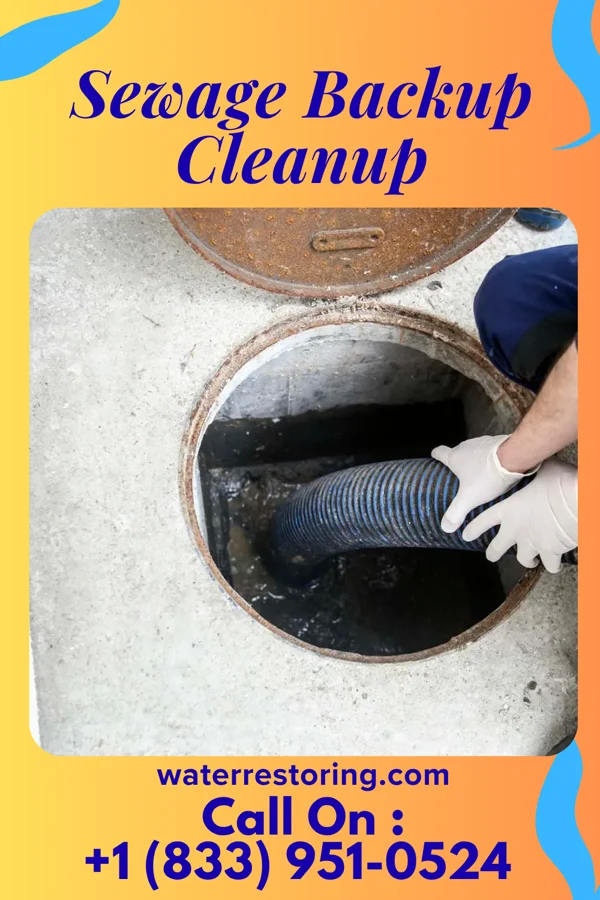 Sewage Backup Cleanup in Stone Ridge, VA