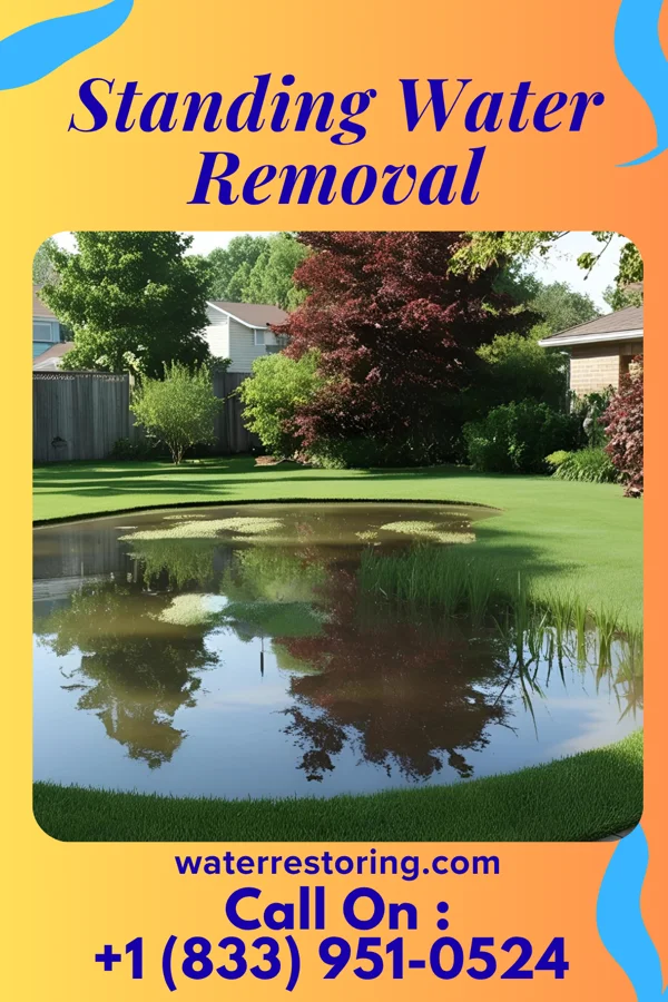 Standing Water Removal in Stone Ridge, VA